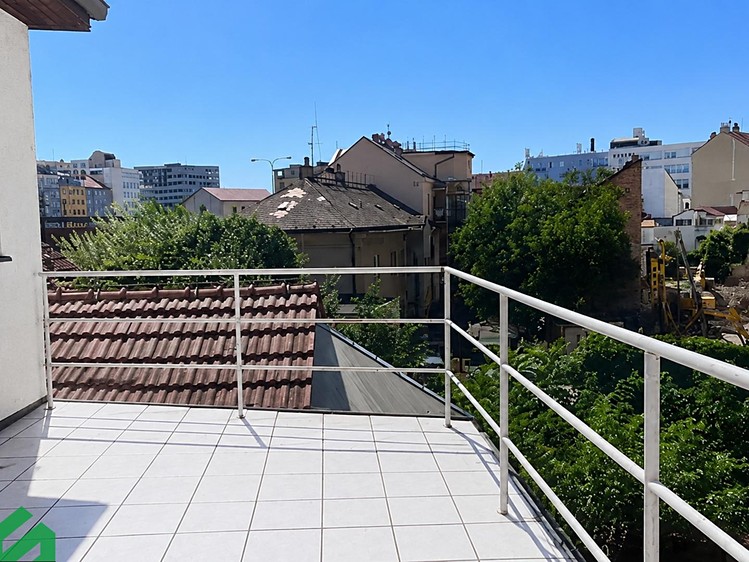 Pronájem domu, 400 m² (9 z 22)