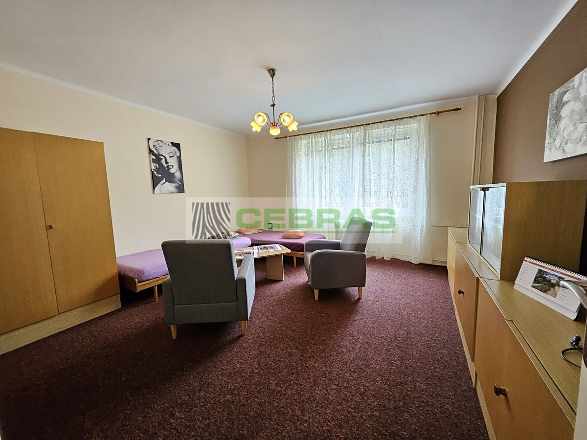 Pronájem bytu 1+1 42 m² – fotografie 4