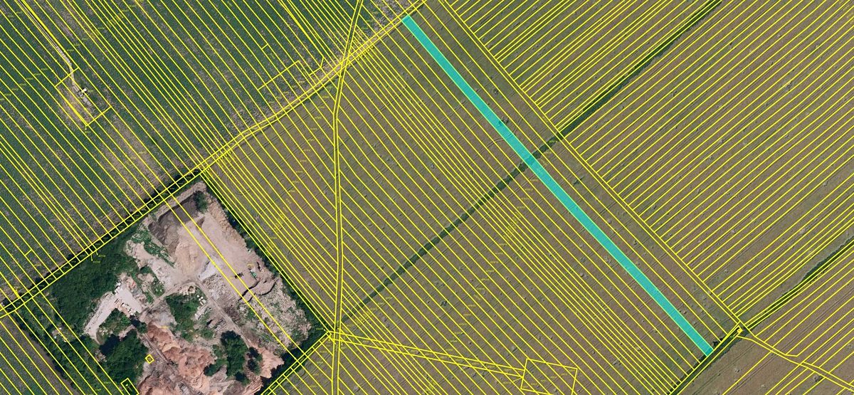 Prodej pole 3999 m² – fotografie 3