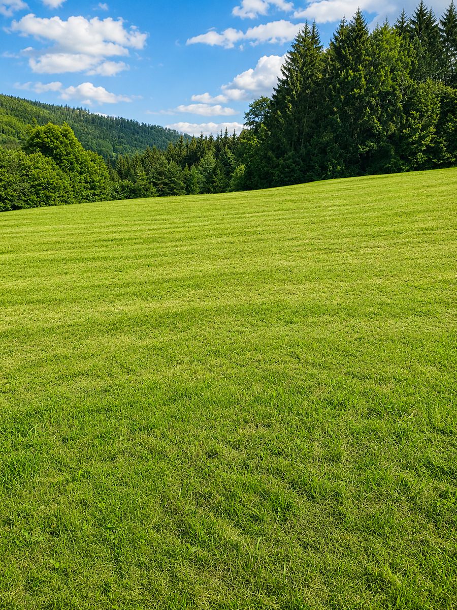 Prodej stavebního pozemku 1521 m² – fotografie 2