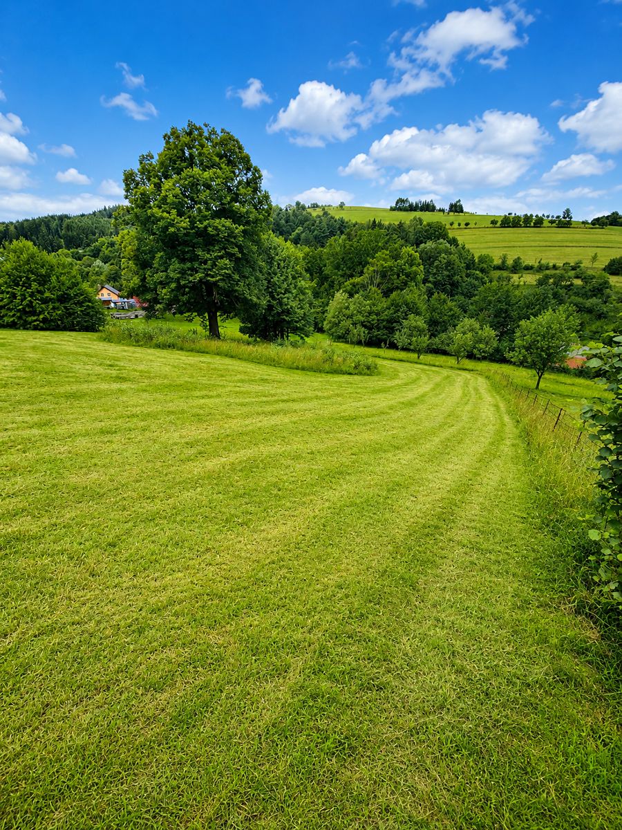 Prodej stavebního pozemku 1623 m²