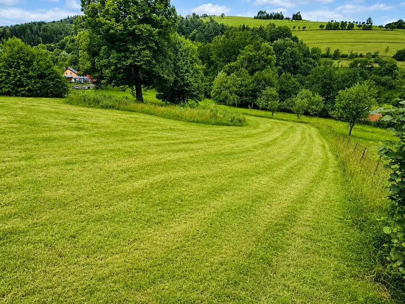 Prodej stavebního pozemku 1623 m², Mikulůvka – náhled fotky 1