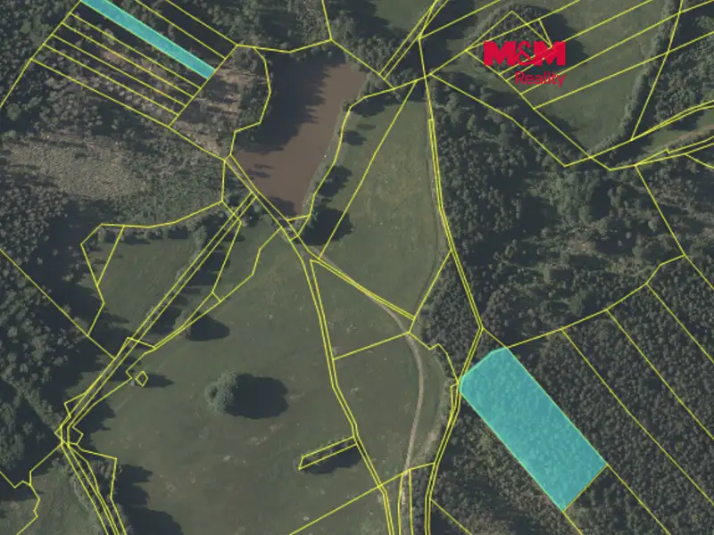 Prodej lesa 7873 m², Mrákotín – náhled fotky 1