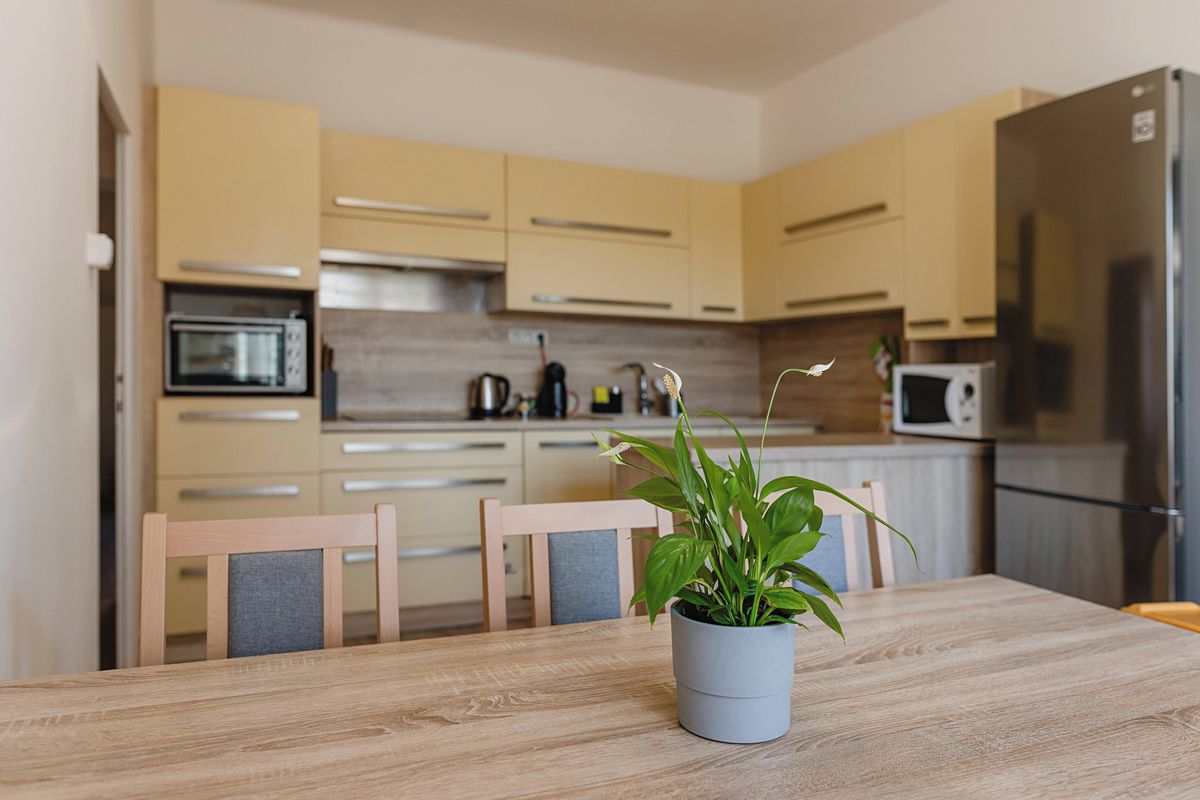 Pronájem bytu 3+1 100 m² – fotografie 5