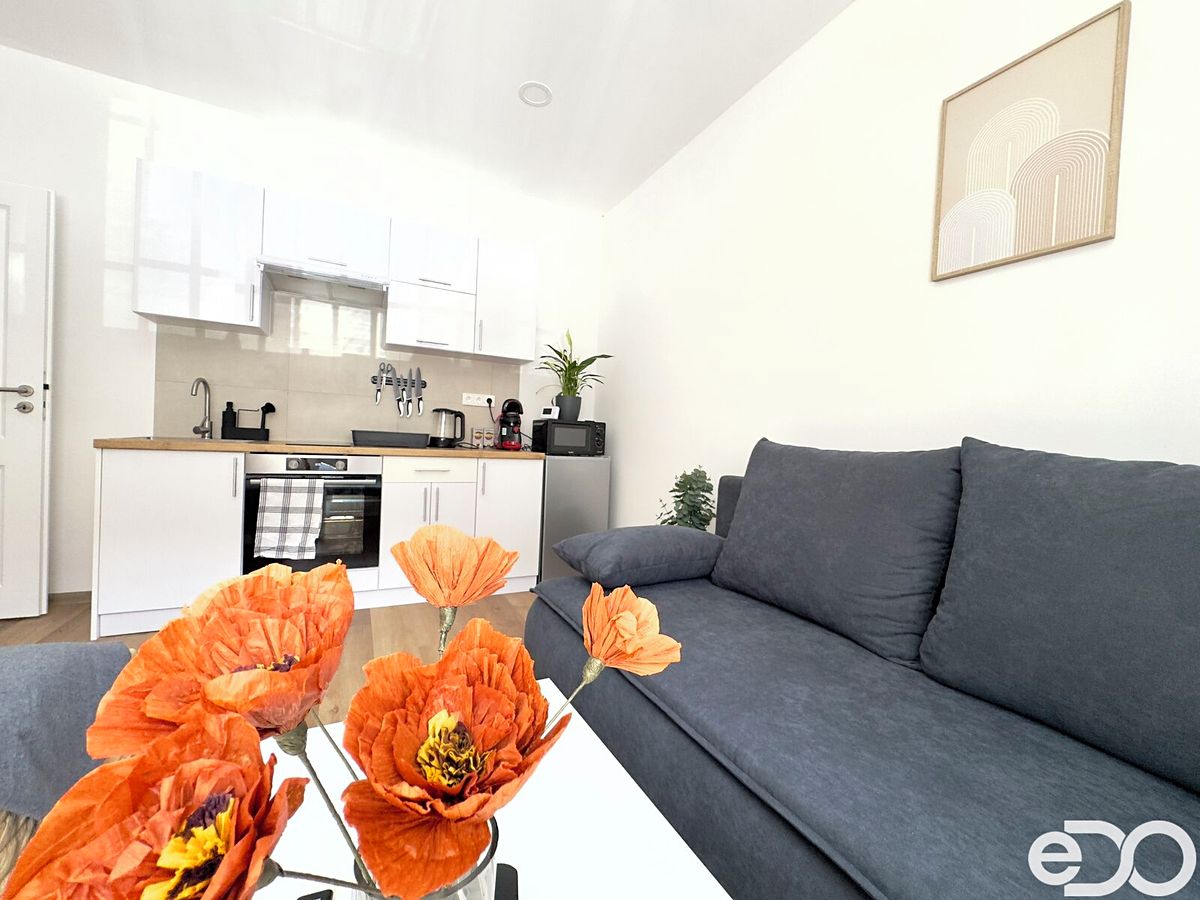 Pronájem bytu 1+kk 28 m² – fotografie 4