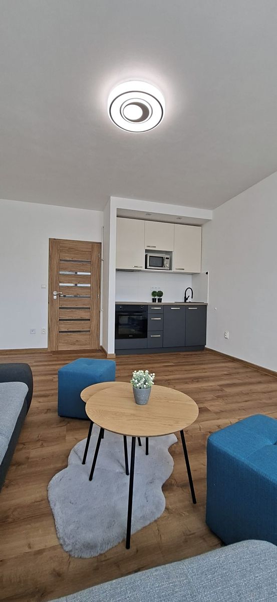 Pronájem bytu 1+kk 30 m²