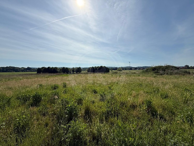 Grundstück zum Kauf, 1.501 m² (5 von 6)