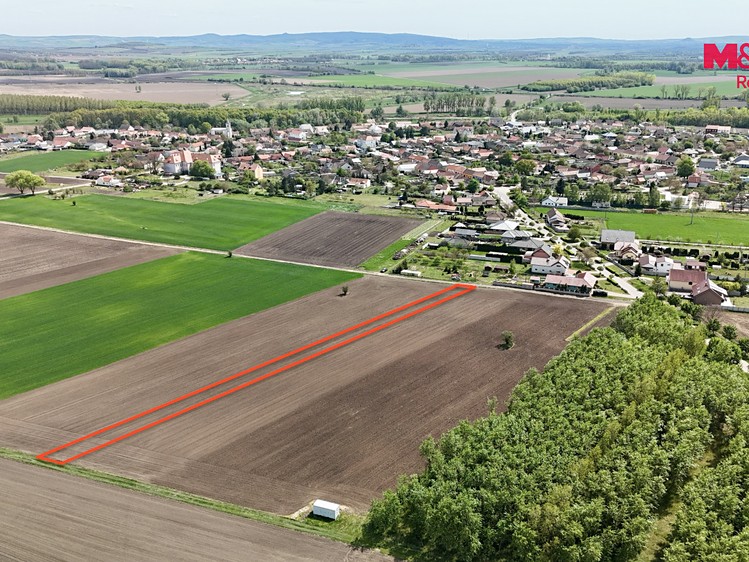Ostatní