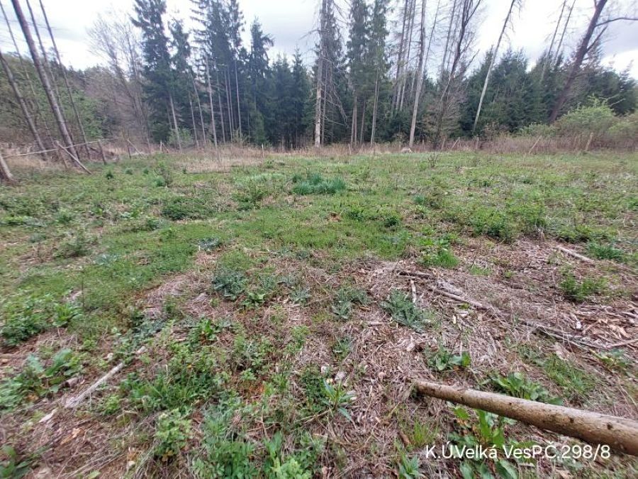Prodej lesa 1183 m²