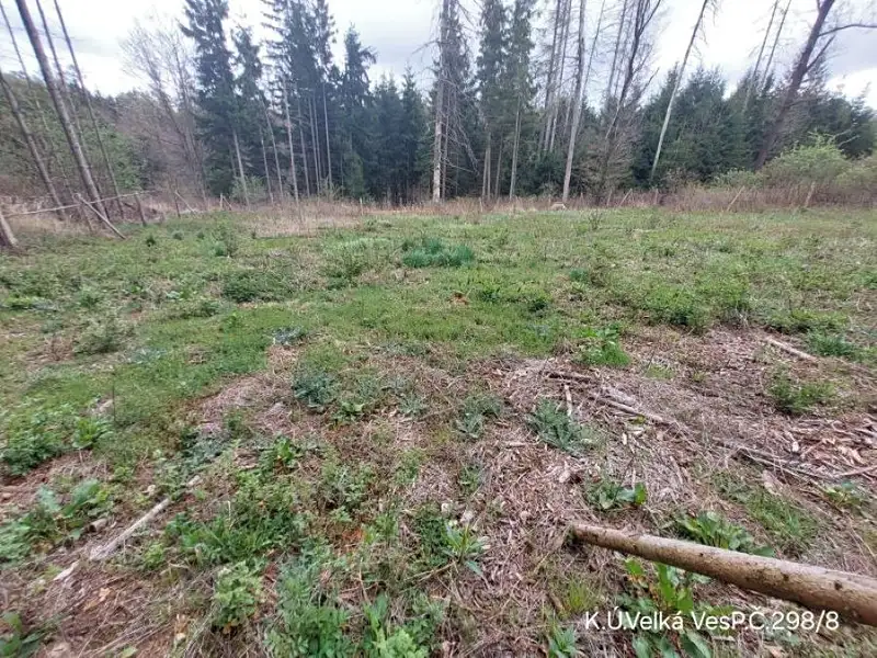 Prodej lesa 1183 m², Lukavec – náhled fotky 1
