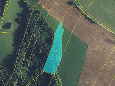 Prodej lesa 4478 m²