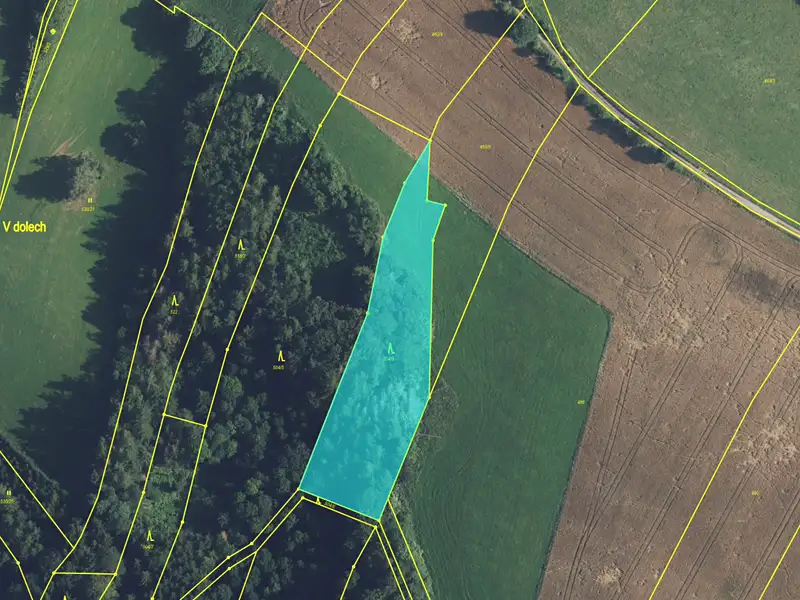Prodej lesa 4478 m², Zábřeh – náhled fotky 1