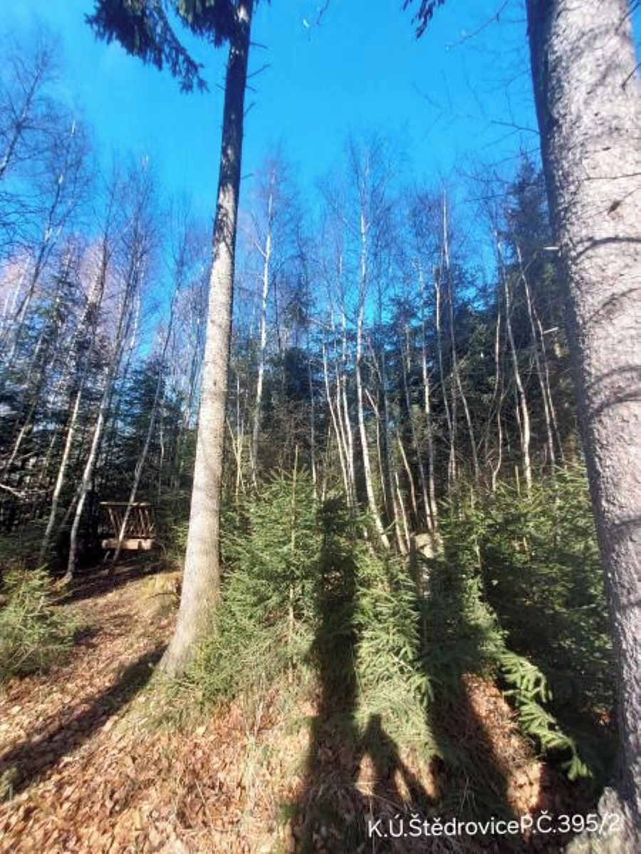 Prodej lesa 2306 m²