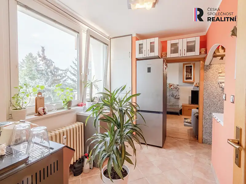 Prodej bytu 3+1 62 m², Jihlava – náhled fotky 2