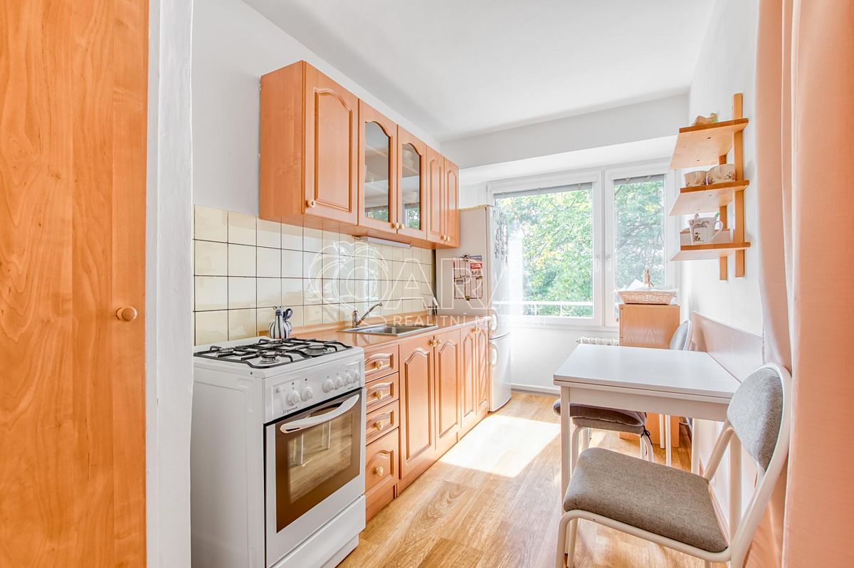 Pronájem bytu 3+1 55 m²