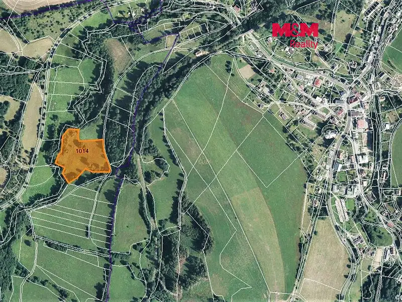Prodej louky 15642 m², Bernartice – náhled fotky 1