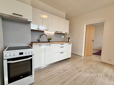 Prodej bytu 1+1 48 m²