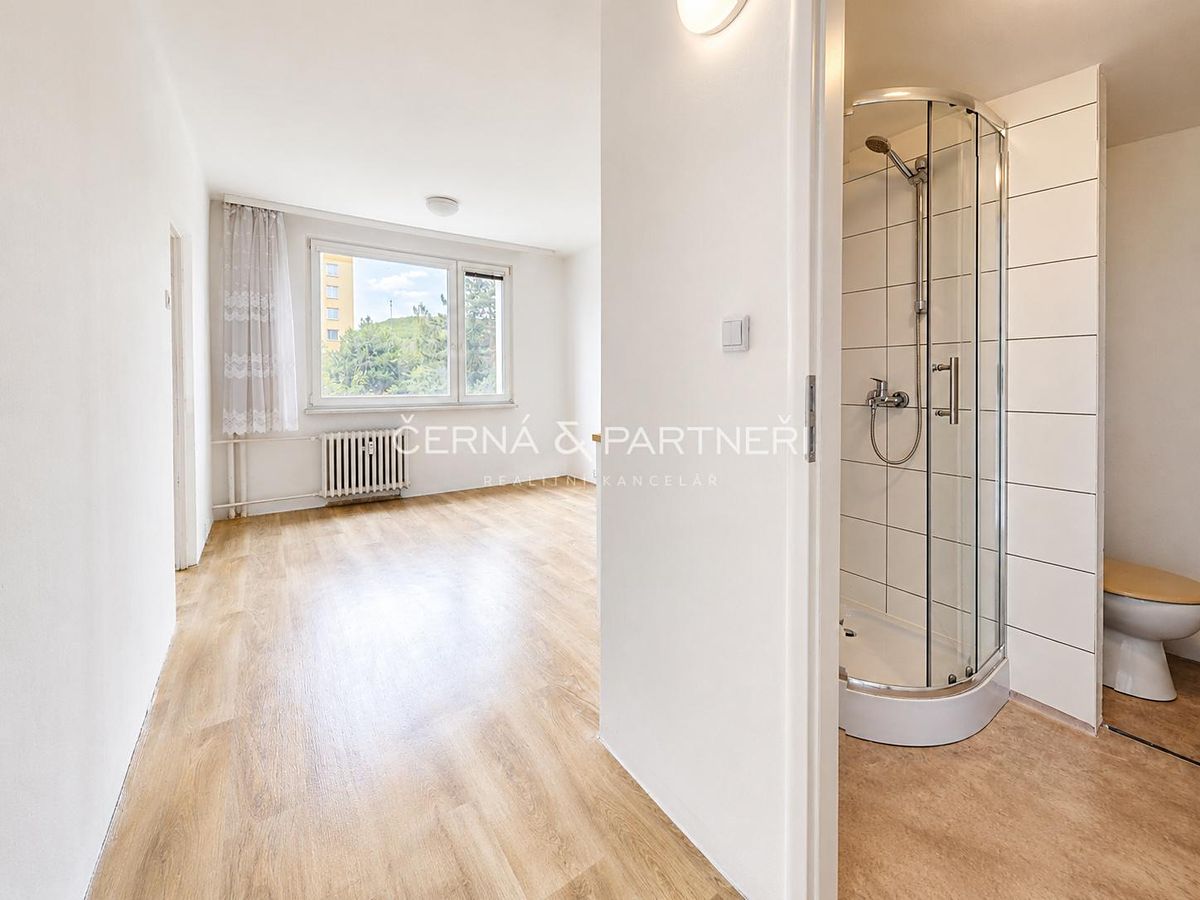 Pronájem bytu 1+1 37 m² – fotografie 4