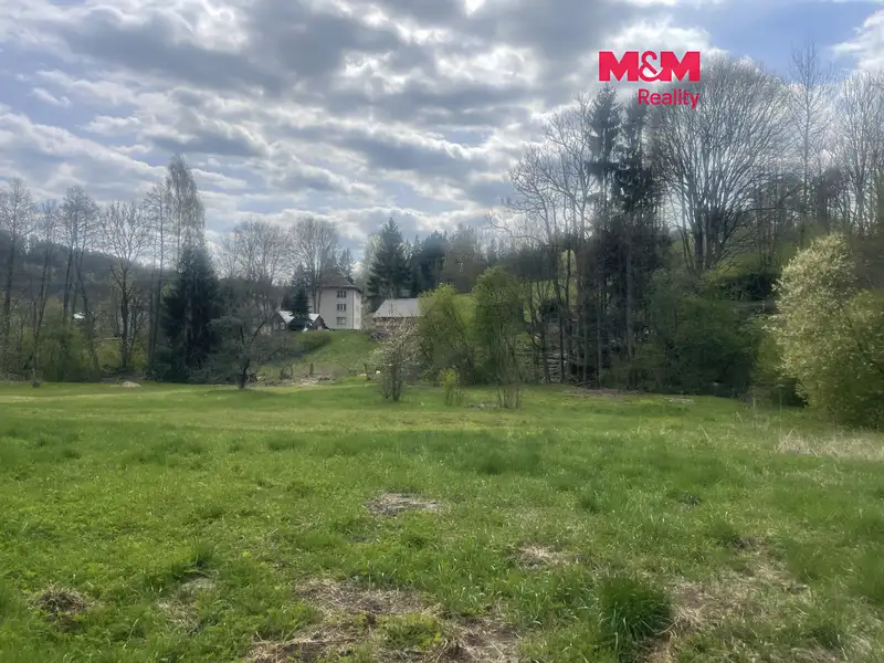 Prodej louky 3984 m², Zlatá Olešnice – náhled fotky 1