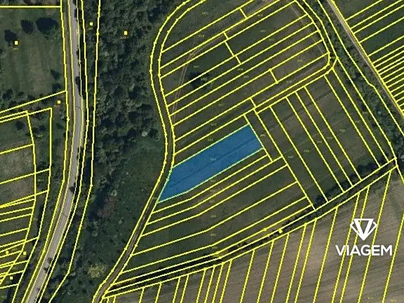 Prodej pole 1207 m², Javorník – náhled fotky 2