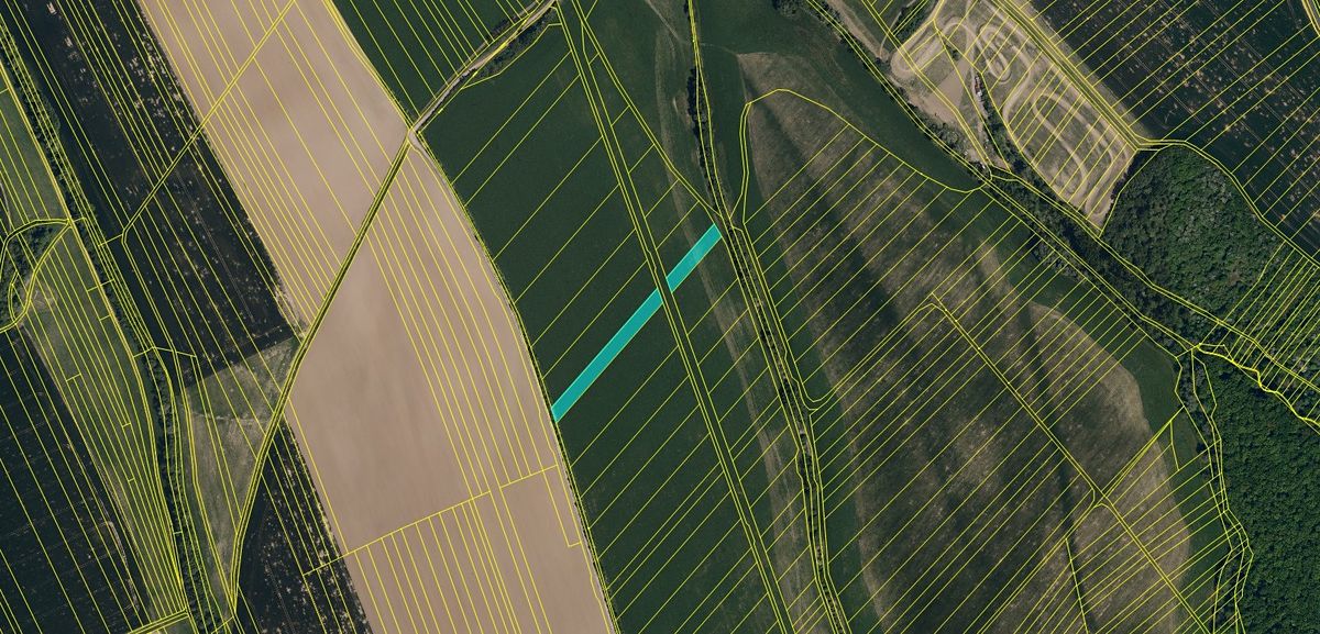 Prodej pole 4775 m² – fotografie 2