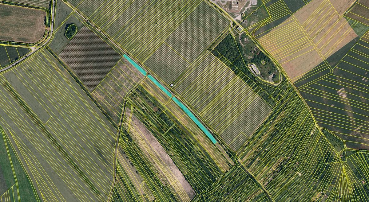 Prodej sadu, vinice 5690 m² – fotografie 3