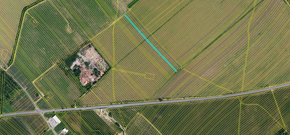 Prodej pole 3999 m² – fotografie 2