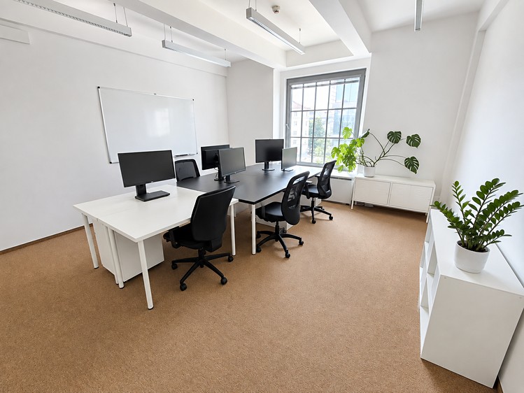 Pronájem komerčního prostoru, 650 m² (5 z 14)