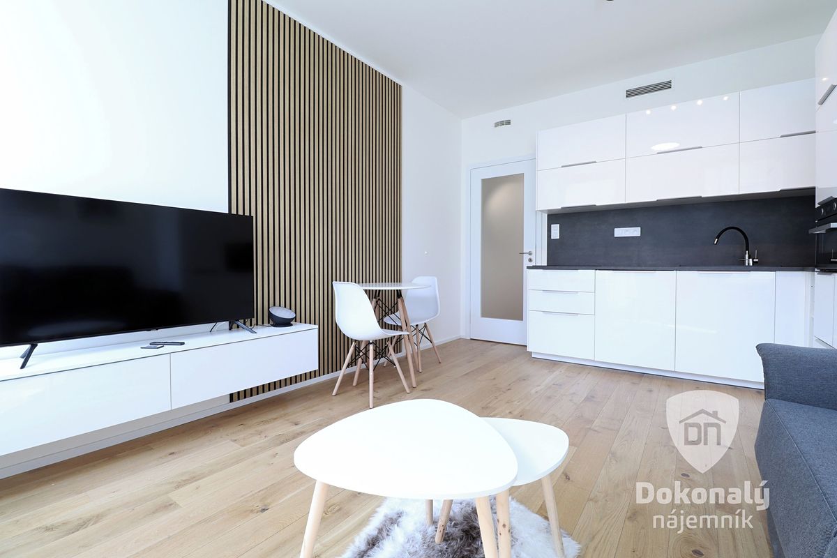 Pronájem bytu 1+kk 29 m² – fotografie 5
