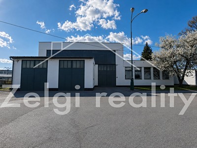 Pronájem komerčního prostoru, 428 m² (3 z 9)