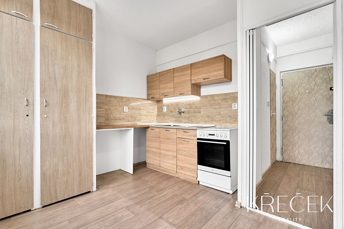 Pronájem bytu 1+1 33 m²