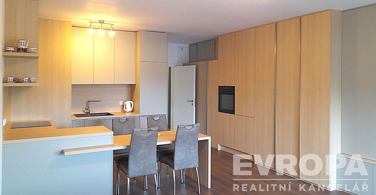 Pronájem bytu 1+kk 49 m² – fotografie 4