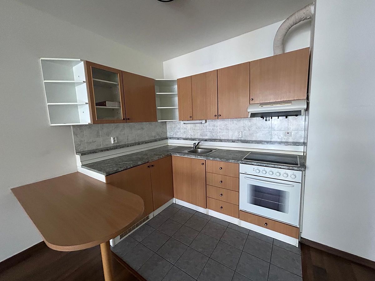 Pronájem bytu 1+kk 33 m² – fotografie 4