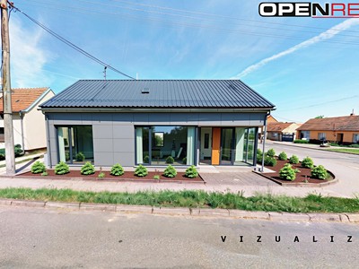 Prodej komerčního prostoru, 54 m² (3 z 19)