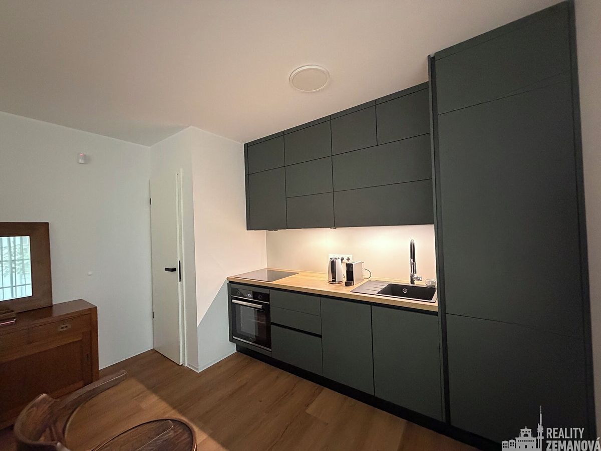Pronájem bytu 2+kk 56 m² – fotografie 2