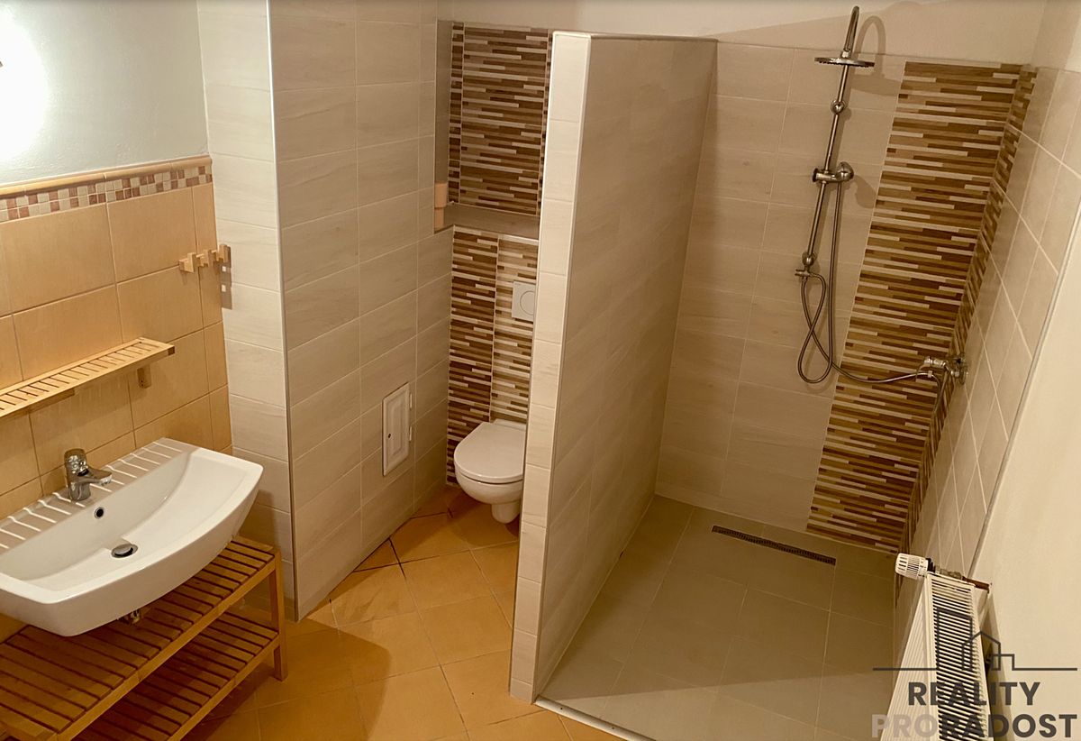 Prodej rodinného domu 450 m², pozemek 4431 m² – fotografie 3
