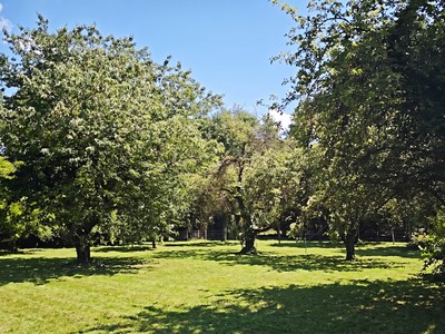 Prodej pozemku, 1 100 m² (3 z 12)