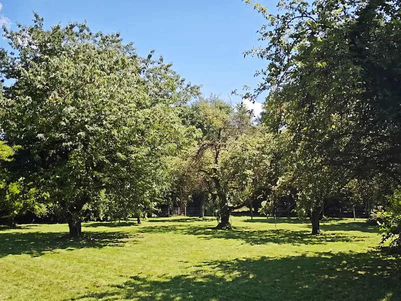 Prodej stavebního pozemku 1100 m², Suchdol – náhled fotky 3