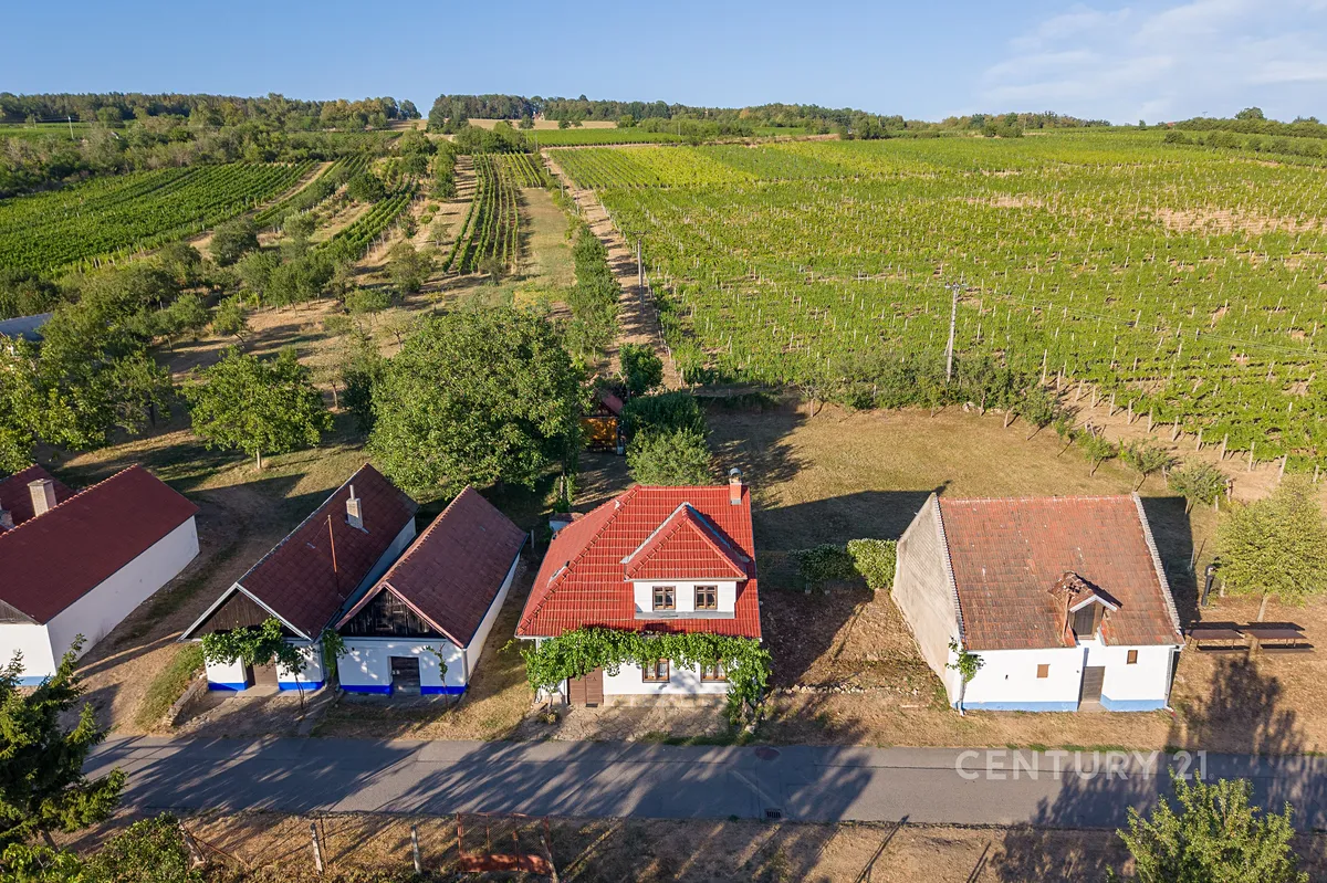 Prodej vinného sklepa 83 m²