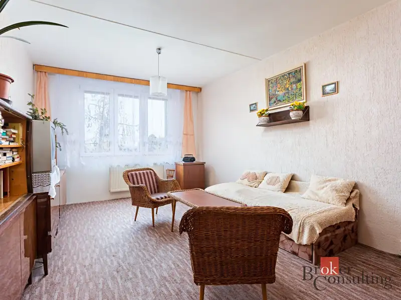 Pronájem bytu 1+1 40 m², Plzeň – náhled fotky 2