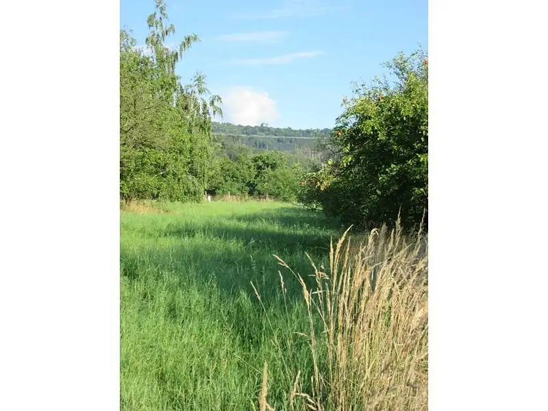 Prodej sadu, vinice 6057 m², Bystřice pod Hostýnem – náhled fotky 2