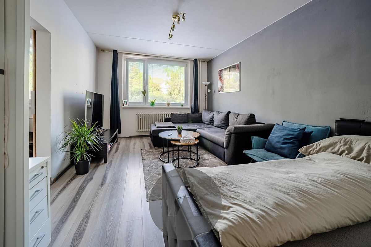 Prodej bytu 1+1 45 m² – fotografie 4