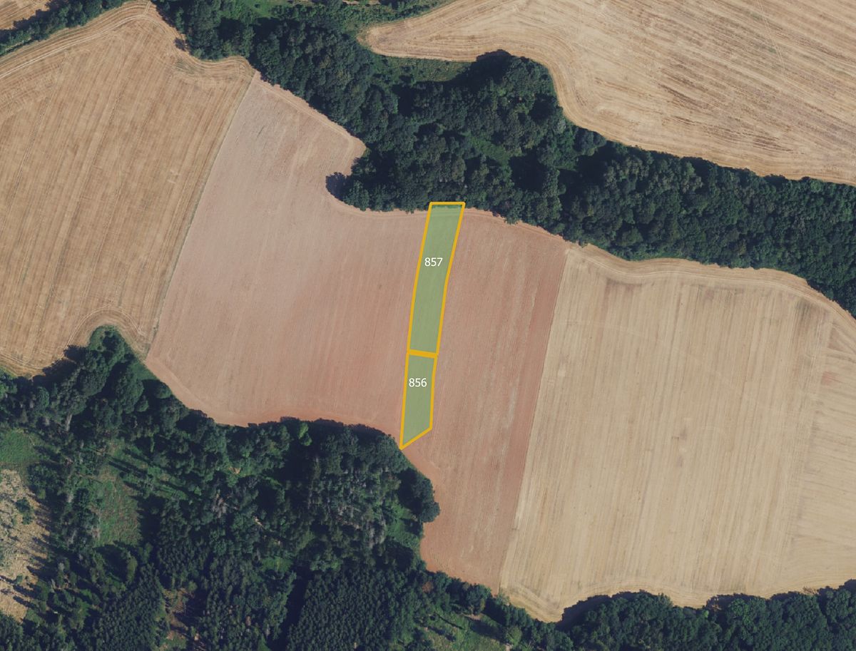 Prodej pole 47572 m² – fotografie 3