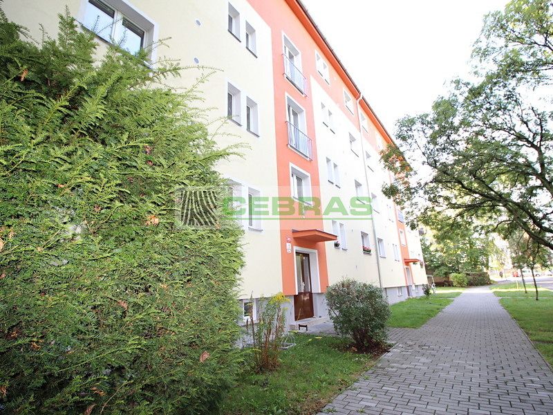 Pronájem bytu 1+1 42 m²