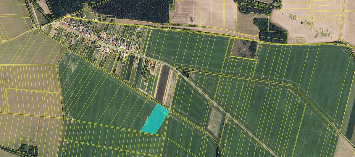 Prodej pole 10124 m² – fotografie 2