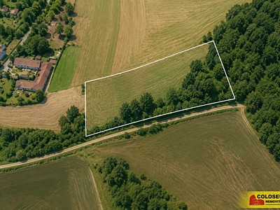 Prodej podílu 1/2  pole 35 449 m²