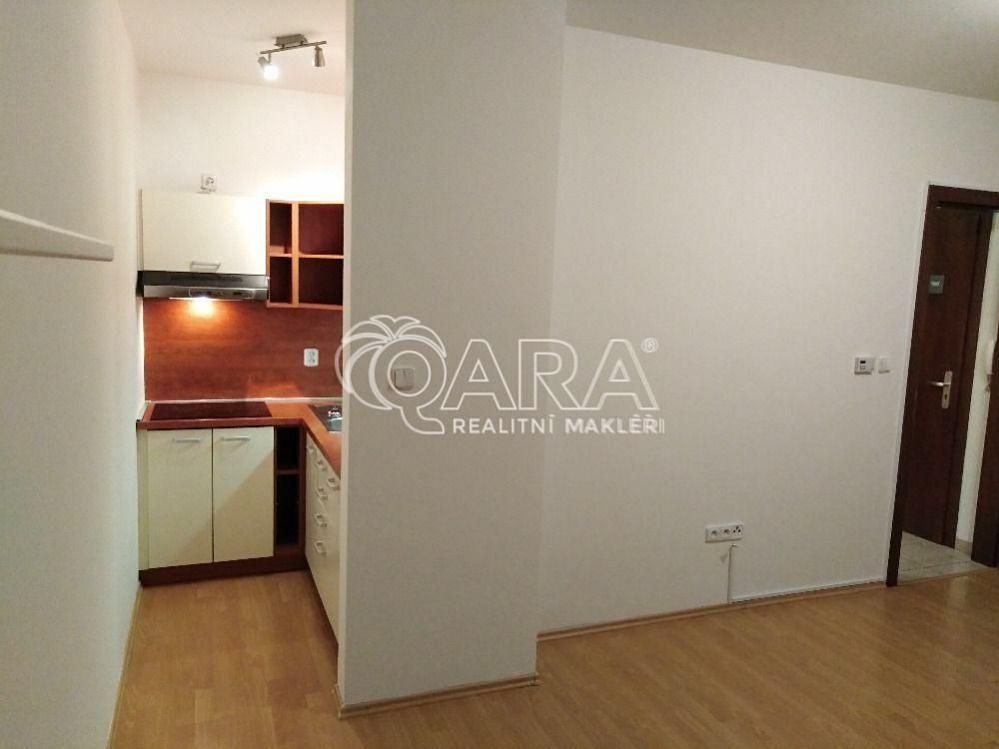 Pronájem bytu 1+kk 29 m² – fotografie 3