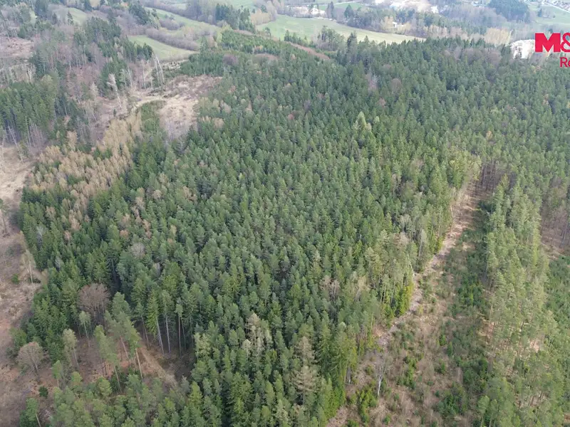 Prodej lesa 7873 m², Mrákotín – náhled fotky 3