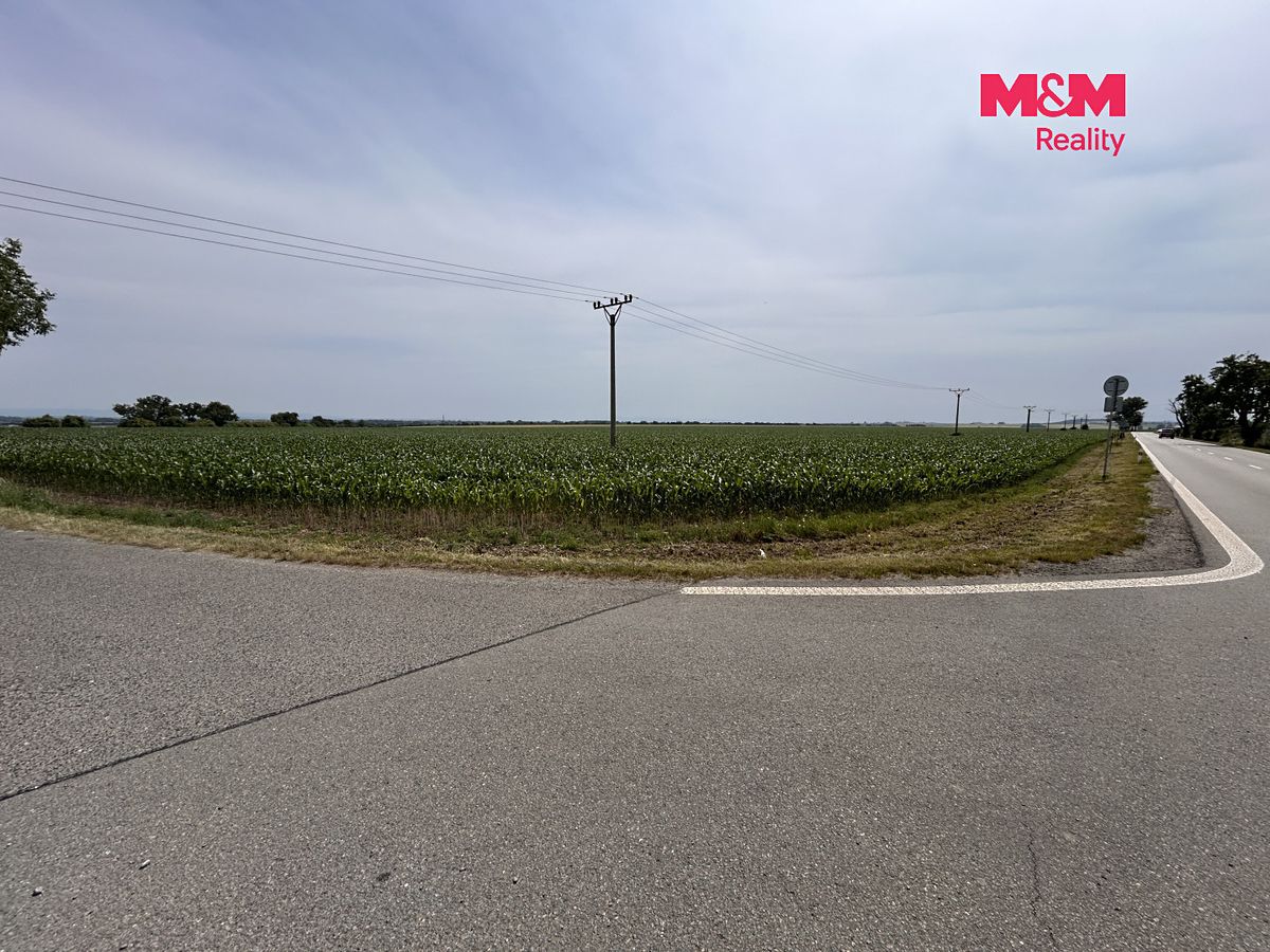 Prodej pole 8491 m² – fotografie 3