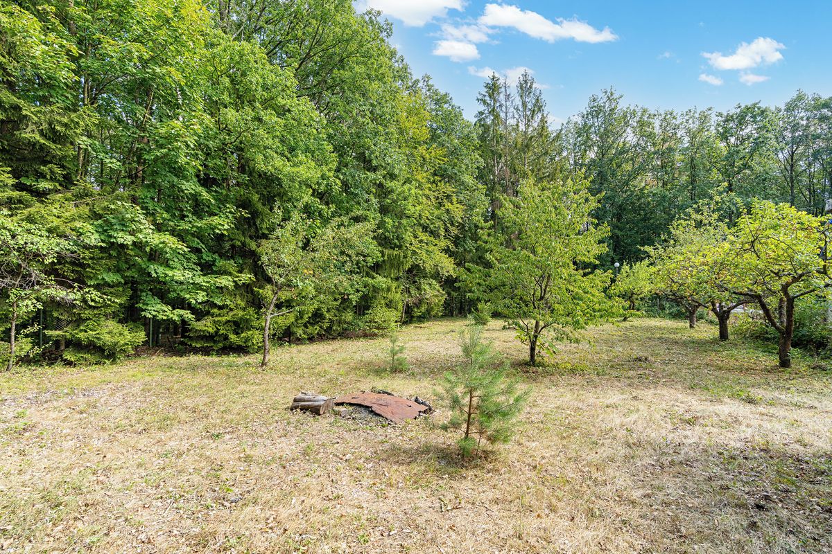 Prodej stavebního pozemku 4958 m² – fotografie 3